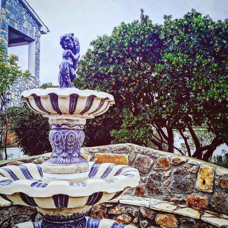 Villa Rossi Brzac エクステリア 写真